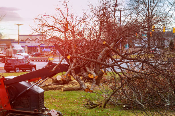 Seasonal Cleanup (Spring/Fall) in West Hill, OH